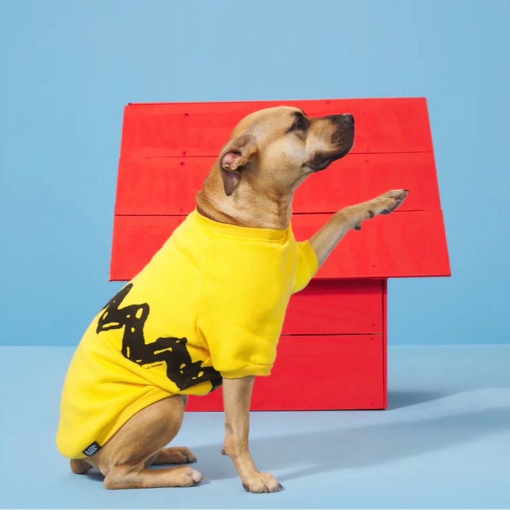 Peanuts “Charlie Brown” Dog Sweatshirt - sz Large